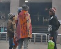 Severe Cold Wave Grips Madhya Pradesh: IMD Issues Yellow Alert as Visibility Drops to Zero