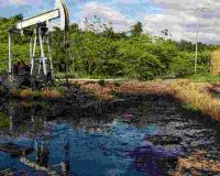 The Curse of Black Gold: Why Venezuela Has Become a Global Investment Pariah