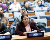 Social justice key to Viksit Bharat goals: India at UN 
