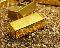 Delhi Gold Market Sees Marginal Retreat as Prices Soften Across Purity Grades