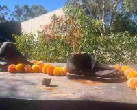 Iconic Bronze Gandhi Statue Stolen in Brazen Midnight Theft from Melbourne Community Center