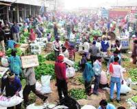 Maharashtra Agri-Markets: Market Prices Outpace Government Support as 2026-27 Marketing Season Begins