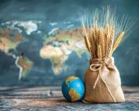 Maharashtra Grain and Oilseed Markets Show Strong Price Resilience Amid Shifting Arrival Volumes