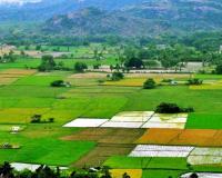 Market Dynamics Surge: Karnataka Crop Prices Outpace Federal Support Levels