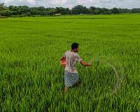Market Realities Test MSP Resilience as Crop Arrivals Surge Across India