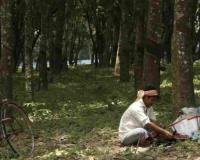 Market Watch: Tripura’s Agricultural Staples See Price Volatility as Arrival Volumes Shift