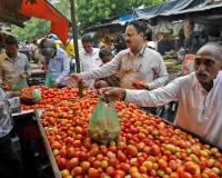 Price Volatility Hits Chandigarh Markets as Tomato and Onion Rates Surge Amid Steady Arrivals
