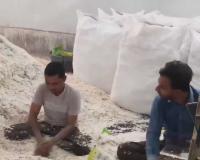 Sanitation Scandal: Viral Footage of Unhygienic Poha Processing Triggers National Outcry and Demands for Regulatory Action