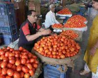 Tomato Prices Surge in Chandigarh as Potato and Onion Markets Hold Steady