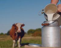 Crisis of Confidence: Fatal Milk Poisoning and Spice Contamination Spark National Outcry Over Food Safety