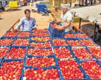 Market Shifts: Onion and Tomato Prices Surge Across Tripura Amid Supply Fluctuations