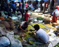 Market Trends Reveal Steep Premium Over Minimum Support Prices in Delhi Mandis