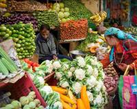 Supply Tightness Triggers Price Volatility Across Himachal Pradesh’s Essential Vegetable Markets