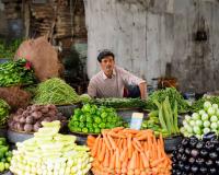 Surge in Vegetable Arrivals Stabilizes Prices Across Chandigarh’s Key Agricultural Hubs