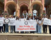 Protests Erupt in Jaipur as Advocates Demand Immediate End to Elephant Exploitation Following Tragic Death of Chanchal