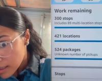 Logistics or Burnout: Amazon Delivery Driver’s Viral Workload Sparks Intense National Debate