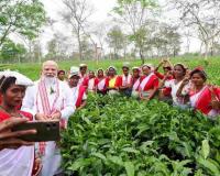 Modi Visits Dibrugarh Tea Garden, Calls Tea the “Soul of Assam” Ahead of Key Election Rallies
