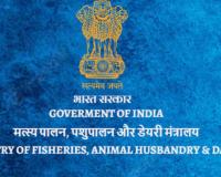 India’s Seafood Exports Surge with Sustained Growth Over Eleven Years