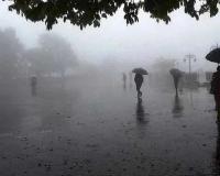 Western Disturbance Triggers Rainfall Across Rajasthan; Water Resources Department Releases 24-Hour Data