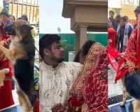 Bride’s Emotional Farewell in Dehradun Goes Viral, Revealing Deep Bond Between Humans and Animals