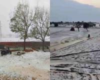 Hailstorms Blanket Bikaner Fields as Western Disturbance Triggers Unseasonal Weather Across Rajasthan