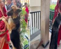  Emotional Farewell in Dehradun: Bride Gauri Singh’s Departure Leaves Her Pet Dogs in Tears