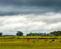 Western Disturbance Disrupts Weather Across Delhi-NCR, Rain, Hailstorms, and Poor Air Quality Raise Concerns Until April 8