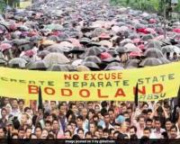 Bodoland Movement: From Cultural Assertion to Armed Struggle and Political Settlement