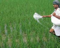 Indian Cabinet Approves ₹41,533.81 Crore Nutrient Based Subsidy for Kharif 2026 Season