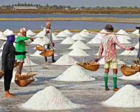 Mira Road: From Salt Flats to a Rapidly Expanding Urban Frontier Facing Rising Scrutiny