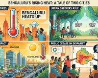 Bengaluru Heat Variations Spark Online Debate Over Urban Green Cover and Development Patterns