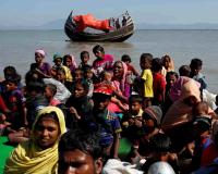 India Explores Use of Crocodiles and Venomous Snakes Along Bangladesh Border in Controversial Security Strategy