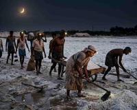 Scorching Heatwave Forces Salt Workers in Thoothukudi to Work Night Shifts Amid Severe Hardships