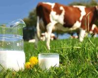 Uttar Pradesh Spearheads India’s Global Dominance with Unprecedented 40% Surge in Milk Production