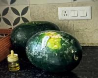 Watermelon Starts Releasing White Foam at Flying Beast’s Home, Viral Video Sparks Food Safety Debate