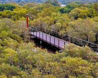 Mangrove Park Inauguration in Gorai Deferred Again Amid Pending Works; Opening Now Scheduled for Early June 2026