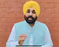Political Storm Erupts in Punjab Over Bhagwant Mann’s Remarks on Action Against Stray Dogs