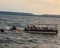 Cruise Capsizes at Bargi Dam in Jabalpur, Nine Dead; Twenty-Three Rescued in Major Tragedy