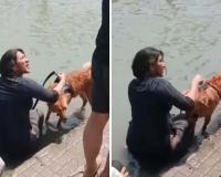 Pet Dog Bathing at Haridwar Ganga Ghat Sparks Heated Confrontation, Video Goes Viral