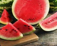 Four Deaths in Mumbai Family Spark Food Poisoning Panic; Watermelon Theory Under Scrutiny as Investigation Deepens