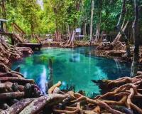 World’s Most Mosquito-Infested Ecological Destinations Continue to Attract Global Tourism Despite Rising Environmental Challenges