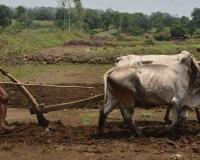 El Nino Threat Looms Over India's Monsoon as Heatwaves Intensify Across the Country