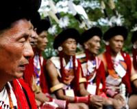Customary Law Enforcement Emerges as Nagaland Community Bans Pangolin Hunting Across 42 Villages