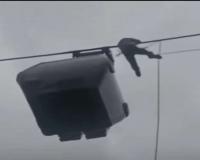 All 310 Tourists Rescued After Gulmarg Gondola Malfunction Triggers Massive High-Altitude Rescue Operation