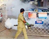 BMC Intensifies Massive Pre-Monsoon Drive, Inspects Over 32 Lakh Households in Citywide Mosquito Control Campaign