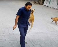 Stray Dog Bites School Security Guard in Mumbai’s Goregaon Amid Rising Safety Concerns