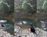 Python Emerges From Riverbank Bushes, Sparks Panic During Group Bathing in Viral Video