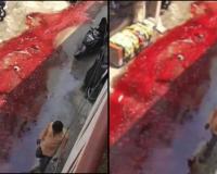 Blood from Bakrid Slaughter Spills into Hyderabad Streets, Triggers Outrage Over Sanitation Breach