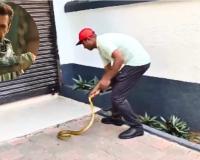 Snake Spotted Outside Salman Khan’s Galaxy Apartment Triggers Security Response in Mumbai