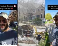 Canada Tree-Trimming Job Sparks Debate After Indian Expat Reveals CAD 700 Charge for One-Hour Service